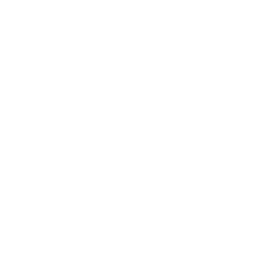 VOLZ ADVISORY Logo